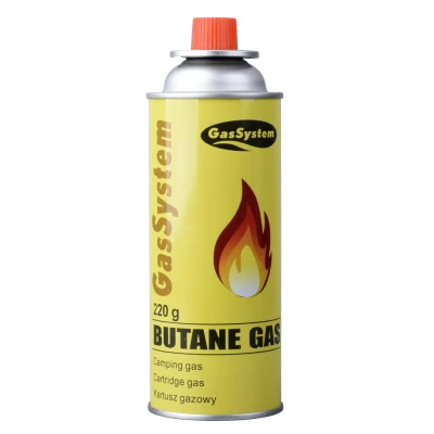 Accessoires pour barbecue Cartouche de gaz butane de camping